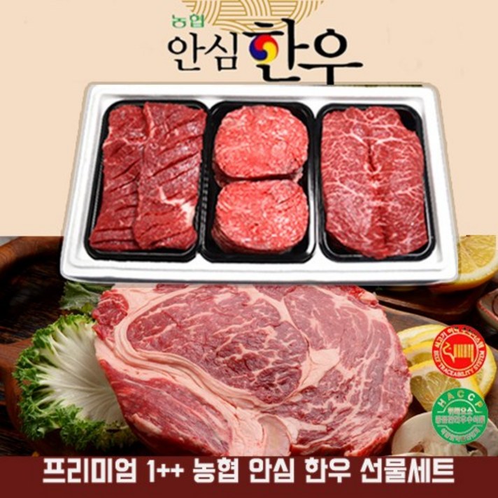  농협 안심 프리미엄 한우 1++ 투뿔 선물세트 추석 명절 한우세트, 1개, 4호-농협 안심 한우1++ 프리미엄 세트 