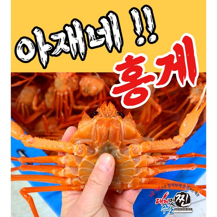 [아재네 홍게] 독한할인!! 가성비홍게 2kg 실속형홍게 프리미엄홍게 (무료배송+빠른배송), 가성비 홍게 2K (5~7마리)