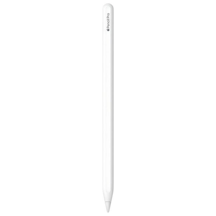 Apple 정품 애플펜슬 프로