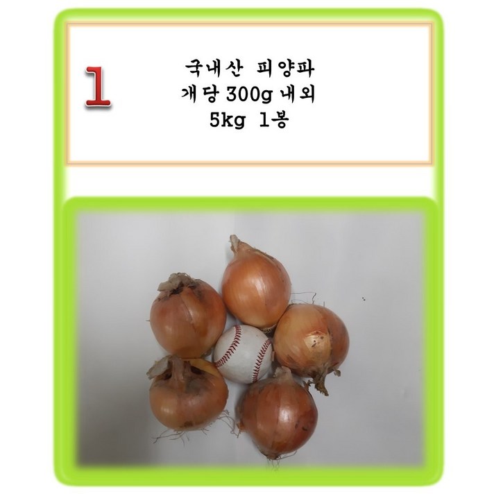 [그린아이팜] 전처리제품 신선야채, 1봉, 001 피양파 5kg
