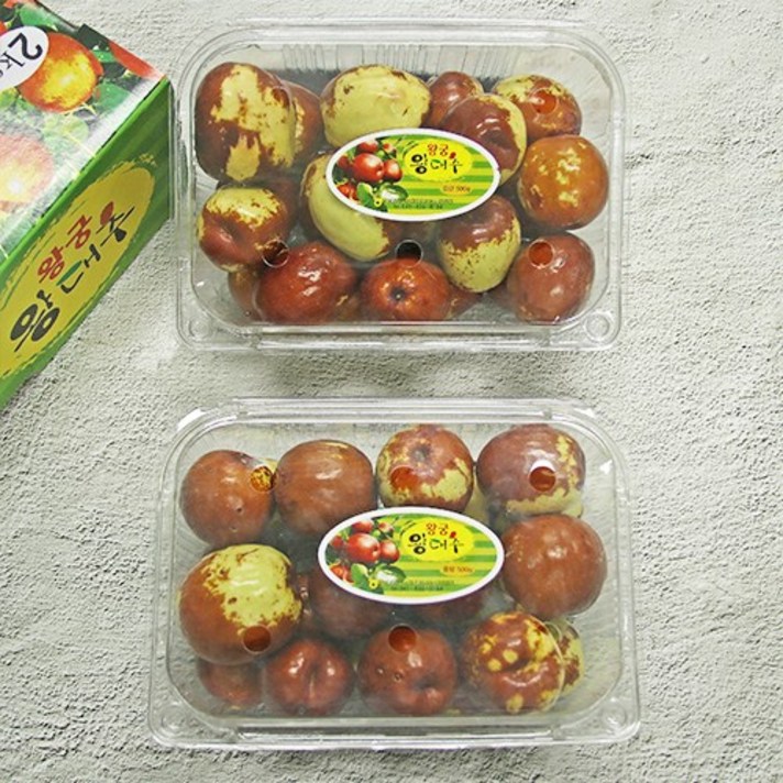 [산지에서바로] 고당도 사과대추 제철 대왕대추 생대추, 품질보증 (특) 사과대추 1kg