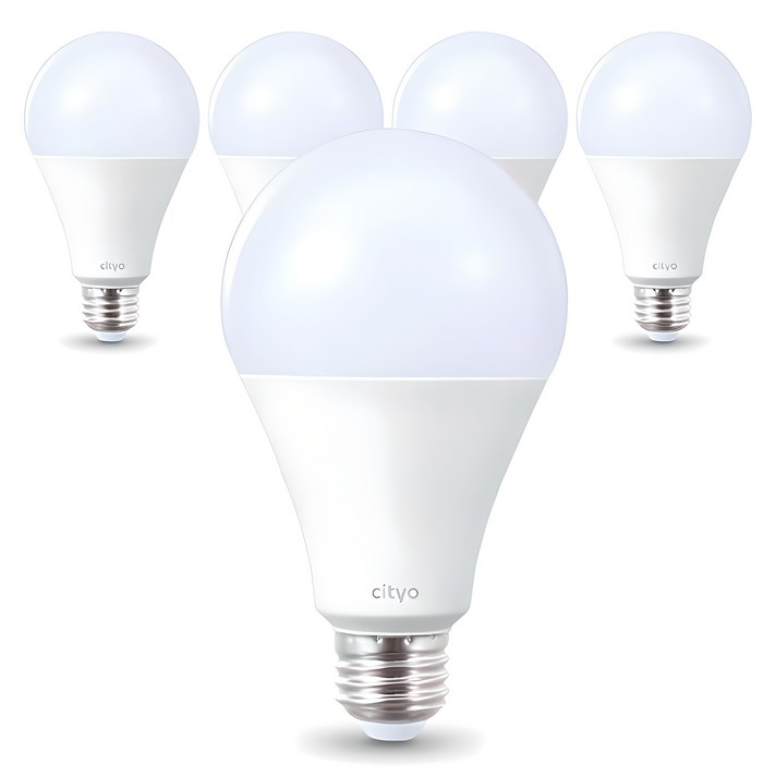 씨티오 LED 화이트 전구 20W, 주광색, 5개