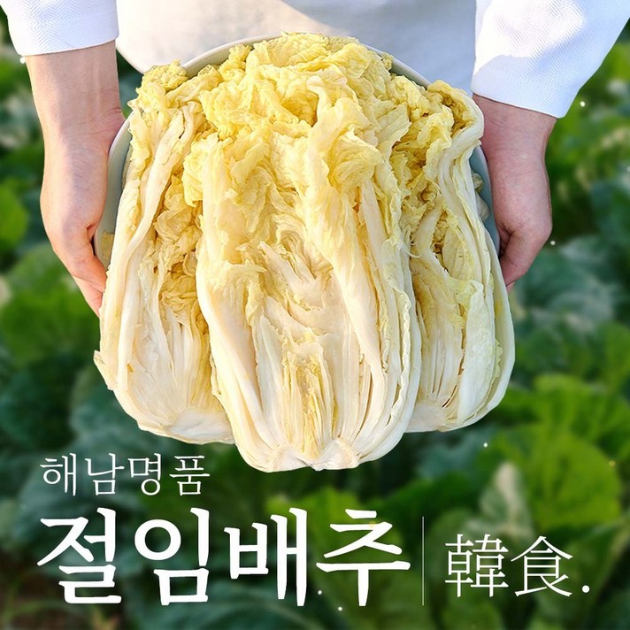 [주문제작] 쿠메푸드 명인 땅끝마을 해남 HACCP 절임배추 20kg 7~11포기, 2. 화요일 출고 수요일 도착