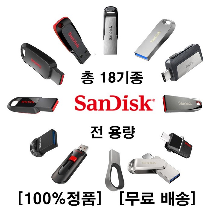 샌디스크 USB 모음전(총 18종), 11. CZ880 [256GB]