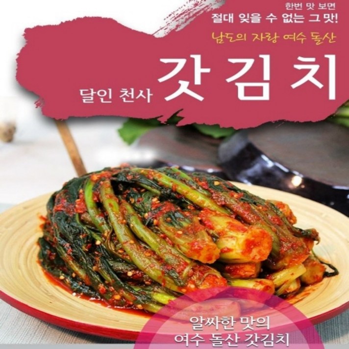 생활의 달인 천사 여수 갓김치 3kg
