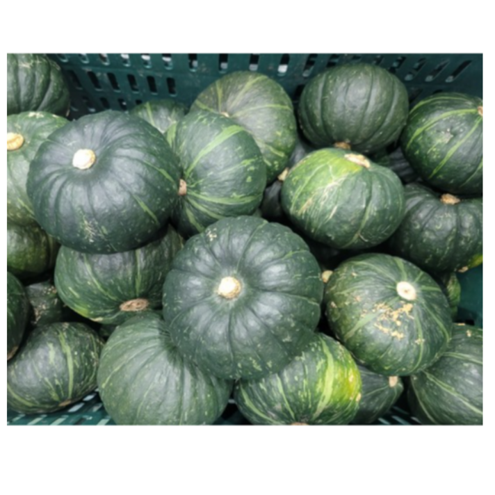  당일선별 국내산 포슬포슬 미니 밤호박 단호박 보우짱 1kg 2kg 3kg 5kg 10kg, 정품 밤호박 3kg(6~8과내외), 1개 