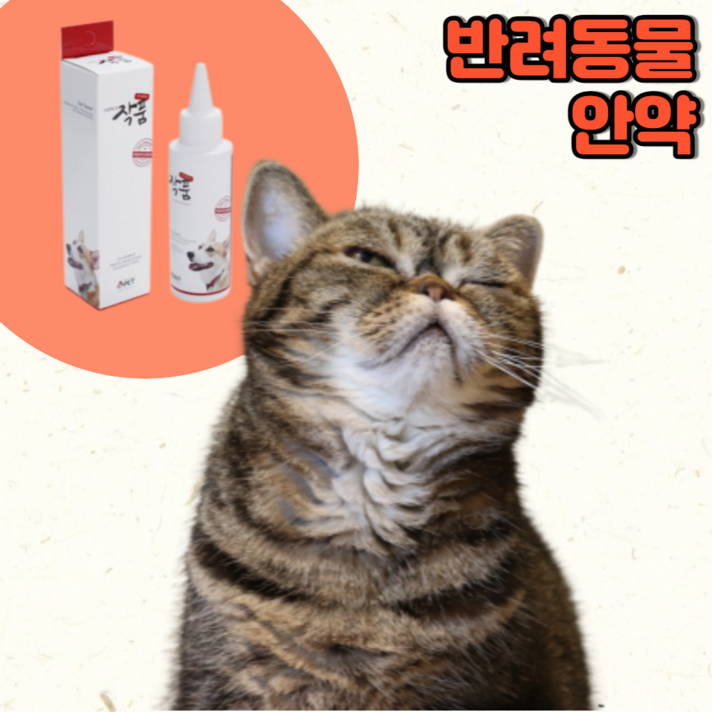 고양이안약 고양이 결막염 안약 인공눈물