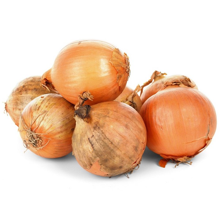 국내산 저장양파 특상품3kg 5kg
