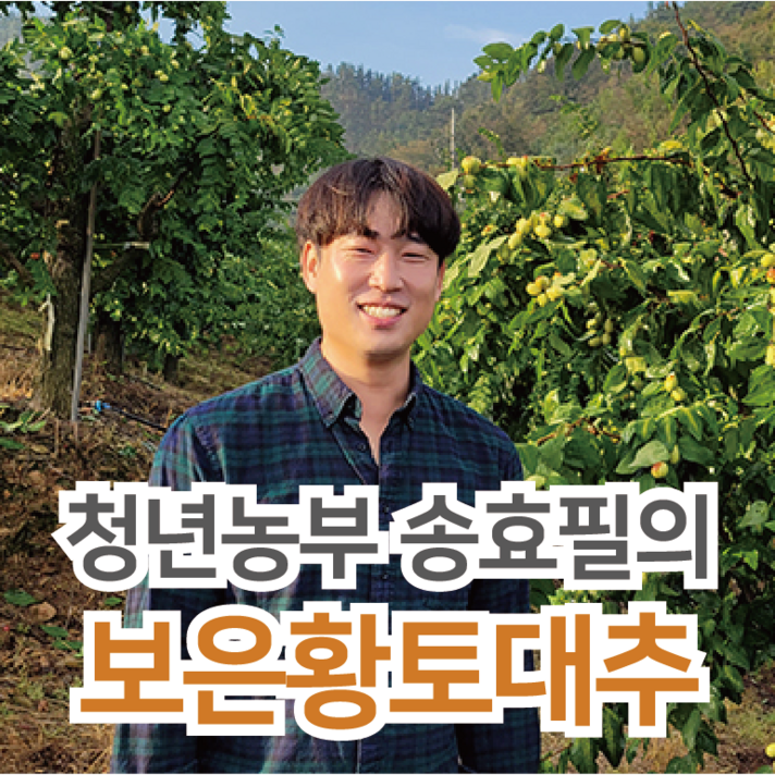 2021년 보은대추 1kg 건대추, 건대추 22mm 1kg