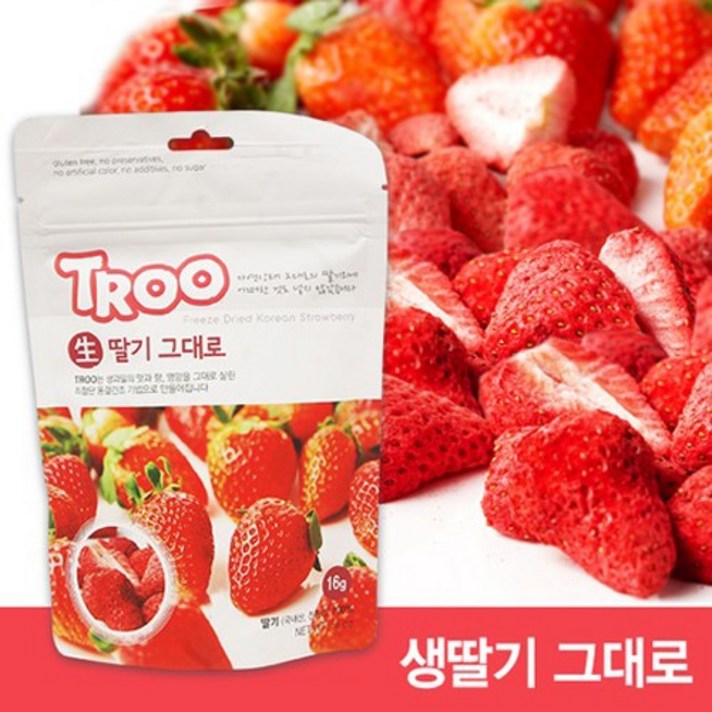 트루나스 TROO 동결건조 과일칩 9종 중 택1, 1팩, TROO 생딸기 그대로