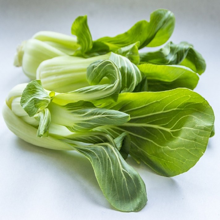 [맘스허브] 청경채 1kg 알뜰구매, 1팩