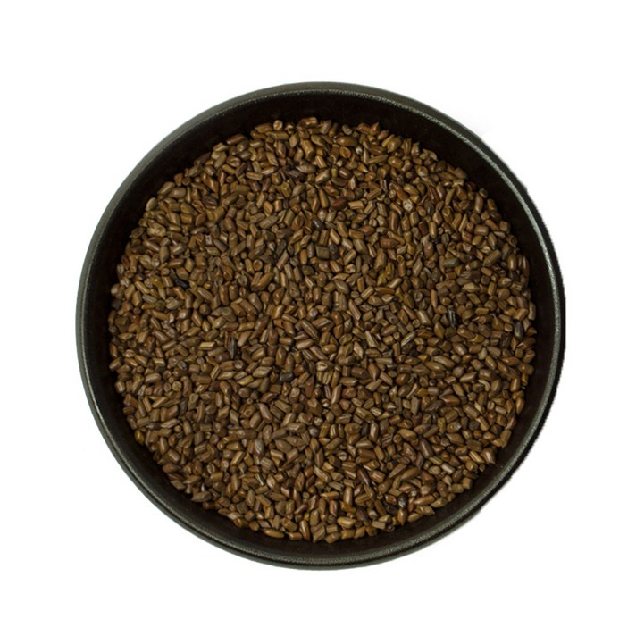 동광한방몰 결명자(볶음) 3kg 결명자차, 1개