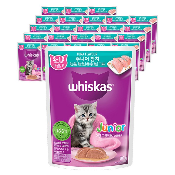위스카스 주니어 고양이 주식파우치