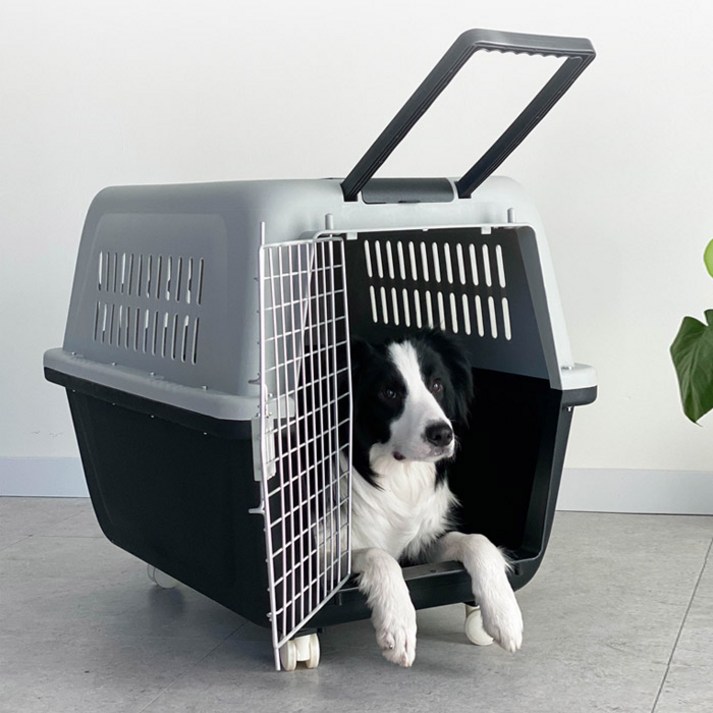 딩동펫 반려동물 에어켄넬