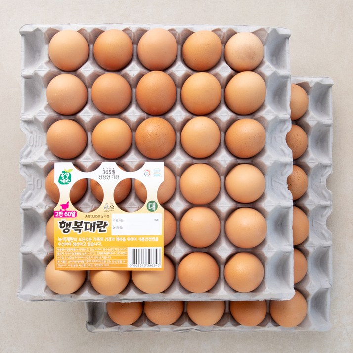 녹색계란 대란