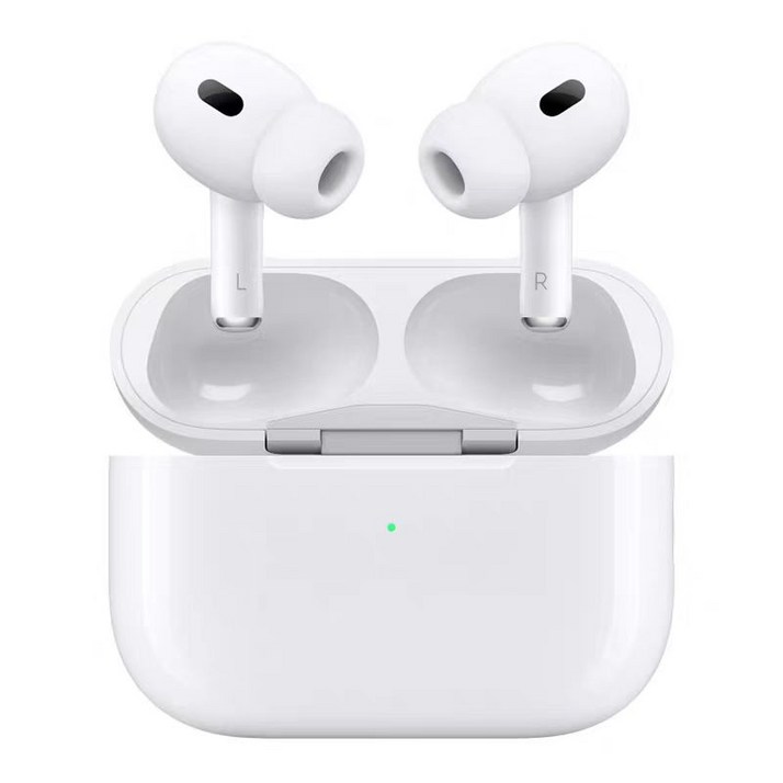 국내배송케이스 파우치 Apple 에어팟 프로 2세대 무선노이즈캔슬링 이어폰