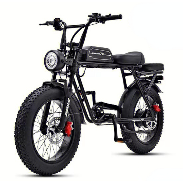 SPEEDING 전기자전거 48V 20Ah 전기 자전거, 블랙, 알루미늄 20230312