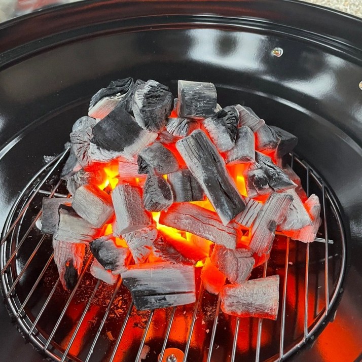 캠핑필수템 신의한숯 두번구운 참숯 백탄 1kg | 휴대 간편 육즙 살리는 강력 화력 바베큐 숯, 1kg, 4개