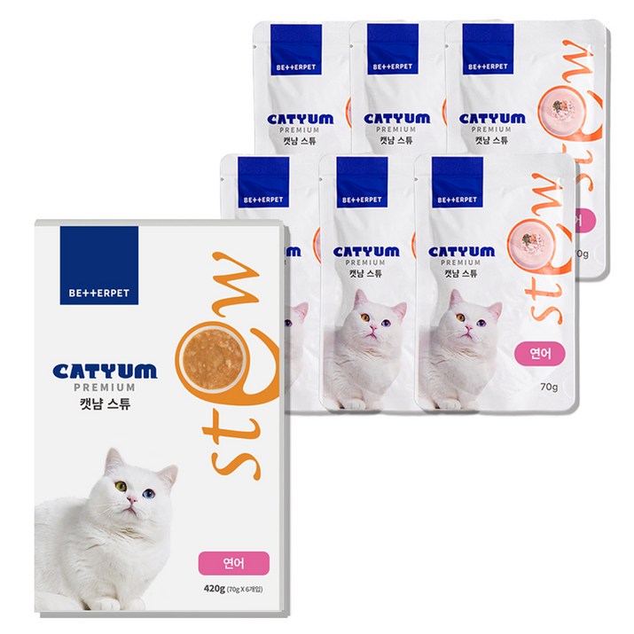 베러펫 캣냠 고양이 스튜 소프트 스프 습식사료 연어, 70g, 6개, 연어