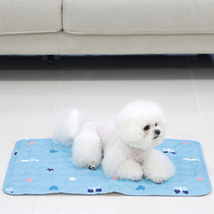 마이또 반려동물 러브 시리즈 쿨매트 마이또 반려동물 러브 시리즈 쿨매트