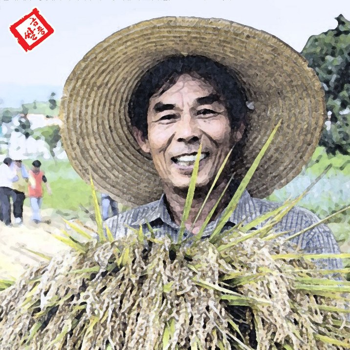 금종쌀 고시히카리 일반미 당일도정 쌀눈 저온저장 5kg, 10kg, 10kg, 1개, 상등급