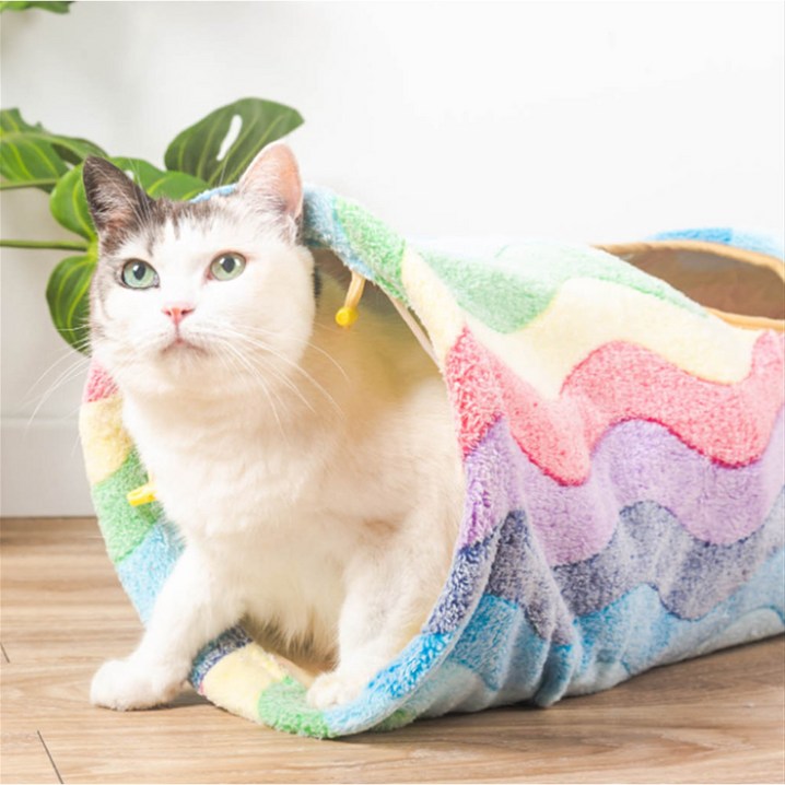 빌리네집 레인보우 고양이 터널 빌리네집 레인보우 고양이 터널