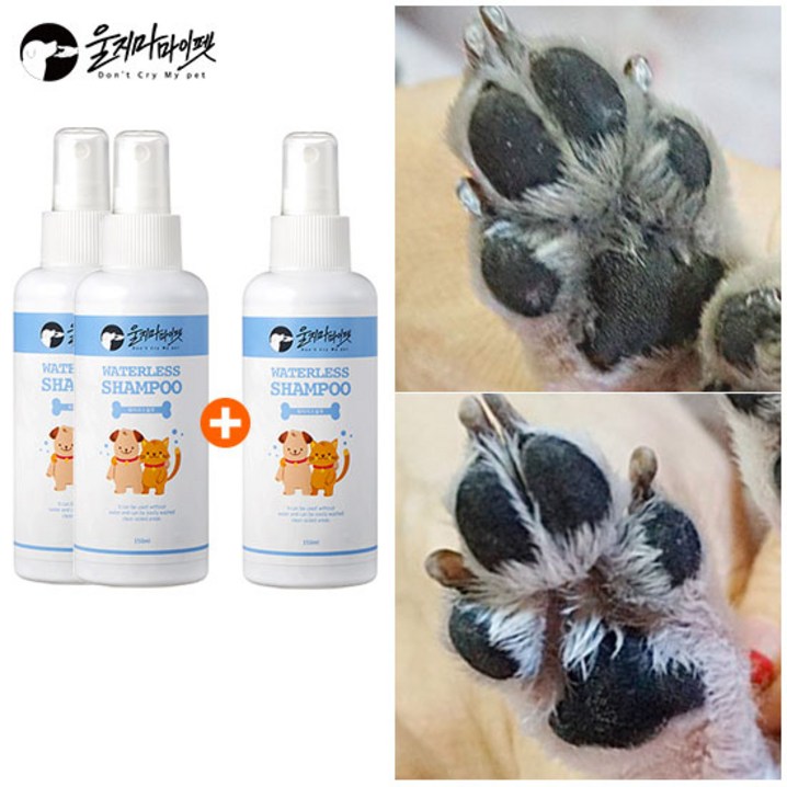 울지마마이펫물없이목욕해프리미엄워터리스샴푸21, 150ml, 3개