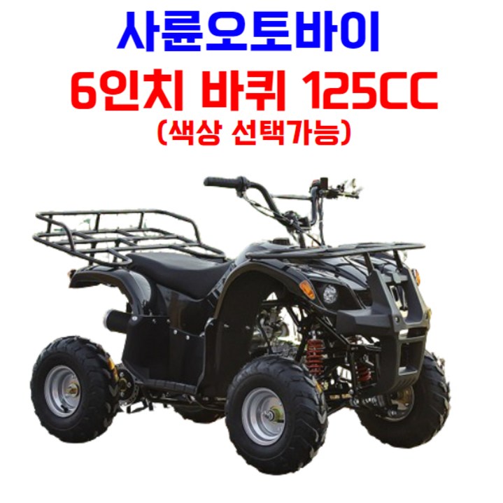 엑티쿼 사륜 오토바이 사발이 4륜 바이크 네발 산악 ATV 운반차 오프로드, 블랙, 01 6인치 125CC
