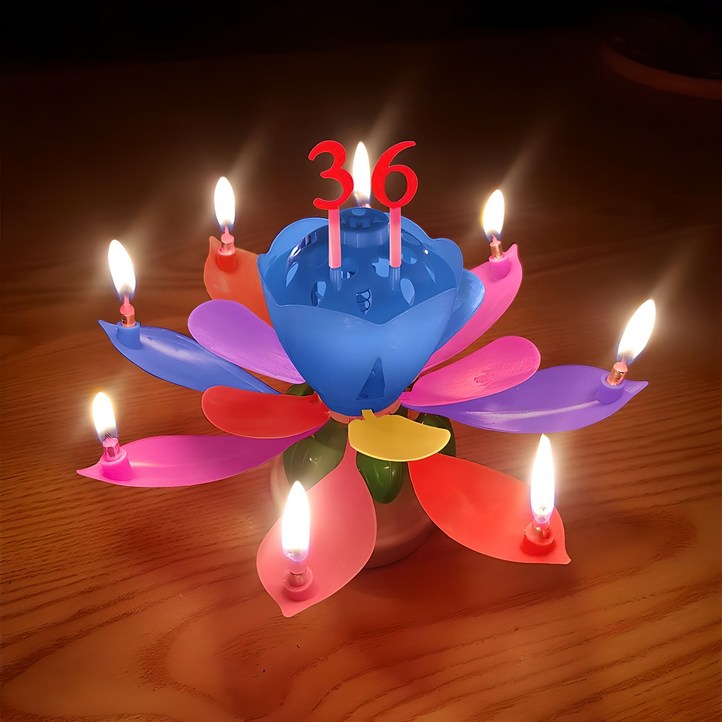 스토리빙 생일 축하 초 연꽃 멜로디 선물 파티 용품 숫자 토퍼 19p 세트, 레인보우