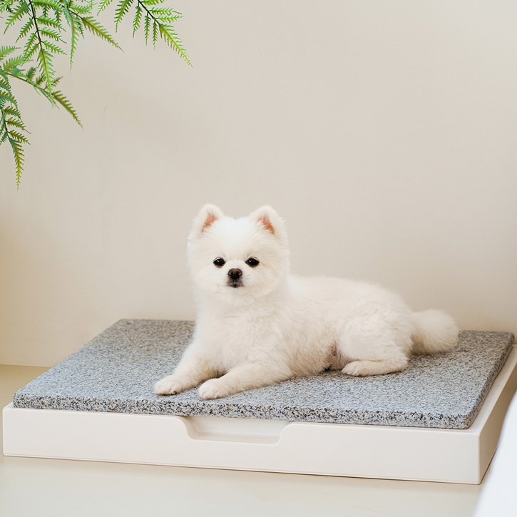 SUPERPET 반려동물 프레임 대리석 쿨매트