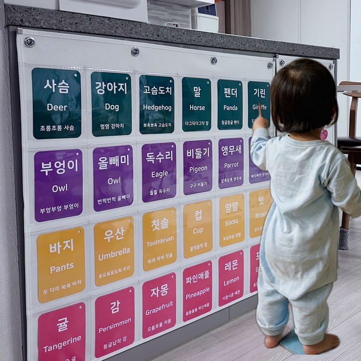 아빠차트 엔밀리밀리 말놀이 실사 낱말카드 160장 한글영어의성어의태어 차트모음