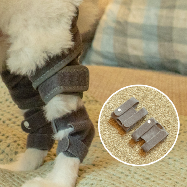 [왼발,오른발 set + 하네스 걸이 증정] 케어즈, 100% 국내 제작, 강아지 슬개골 비절 탈구 보호대 산책 밴드 , 1+1 양발 구성
