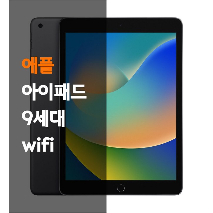 아이패드 9세대 WiFi