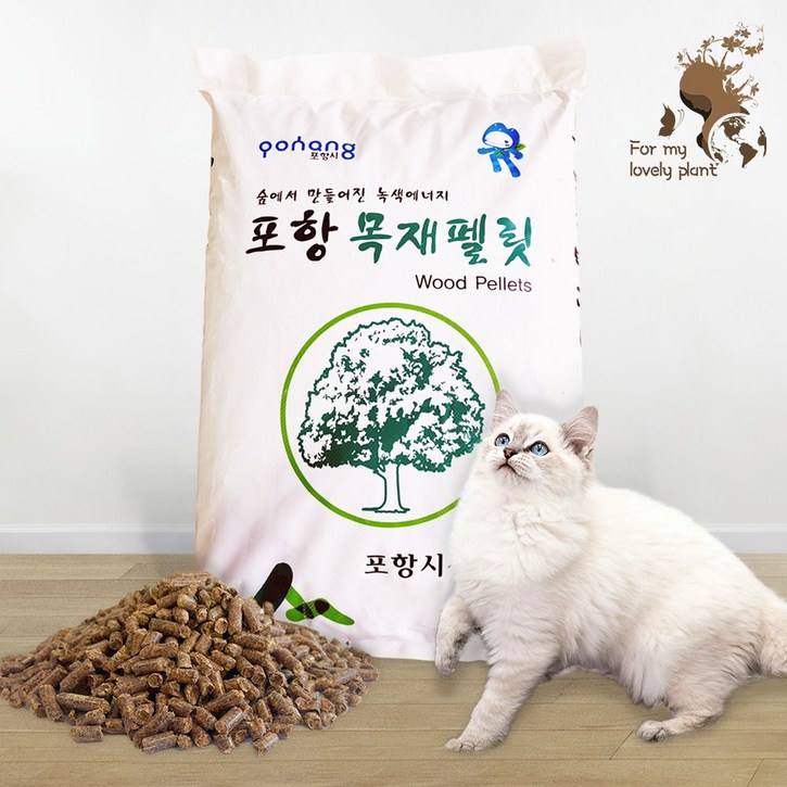 햄스터 목재펠릿