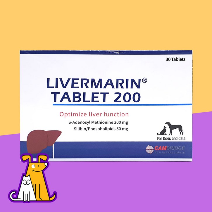 리버마린200mg 30정 강아지 고양기 간 영제, 1개 리버마린200mg 30정 강아지 고양기 간 영제, 1개