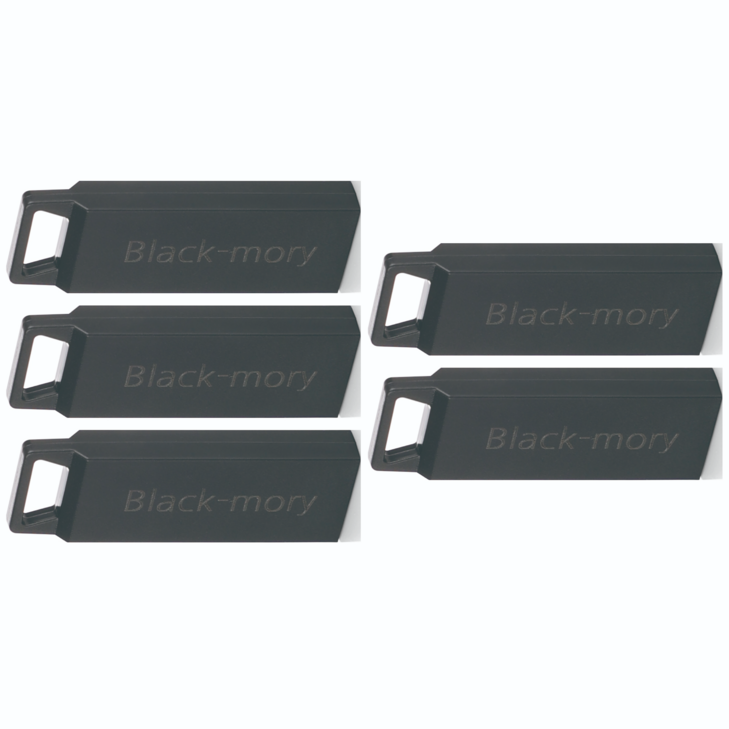 TUI 투이 Blackmory 2.0 USB 메모리 5P 저장용량 및 패키지 선택 구매, 4GB, 5개