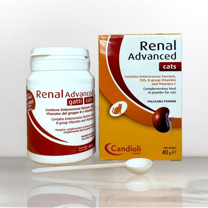 고양이 레날 어드밴스드 캣츠 40g 신장 신부전
