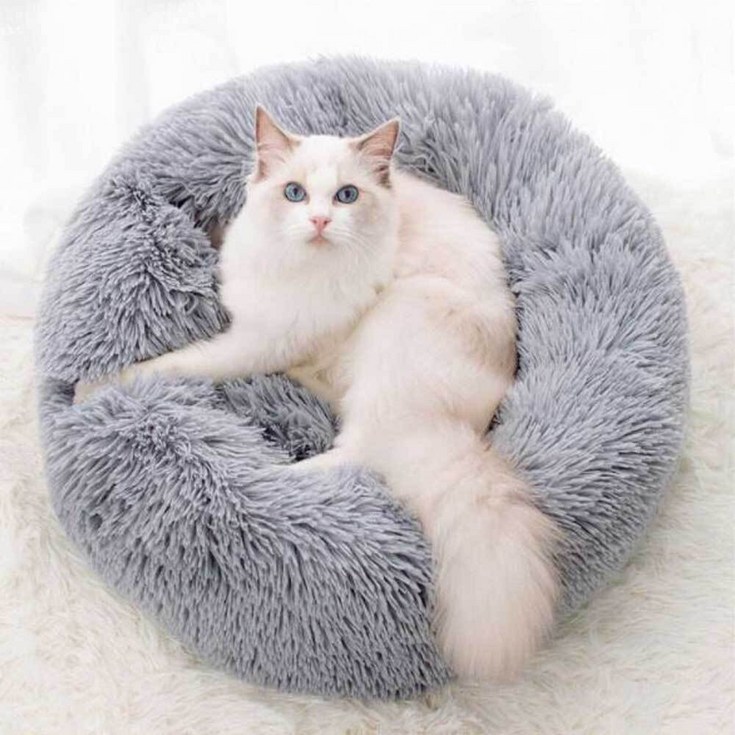 에코벨 강아지 도넛방석 에코벨 강아지 도넛방석