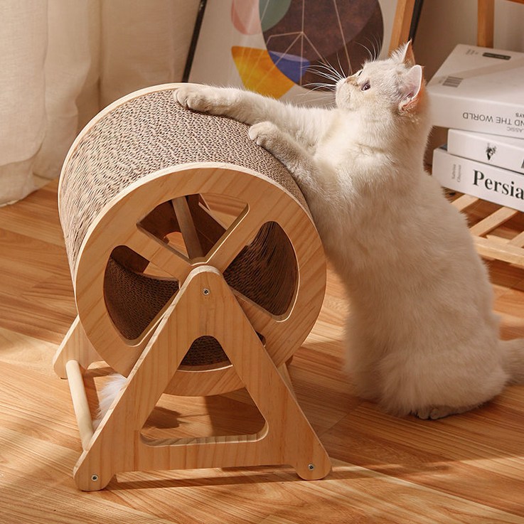 고양이 캣휠 캣워크 런닝머신 실내 운동훈련 고양이 헬스기구 런캣 - 쇼핑앤샵
