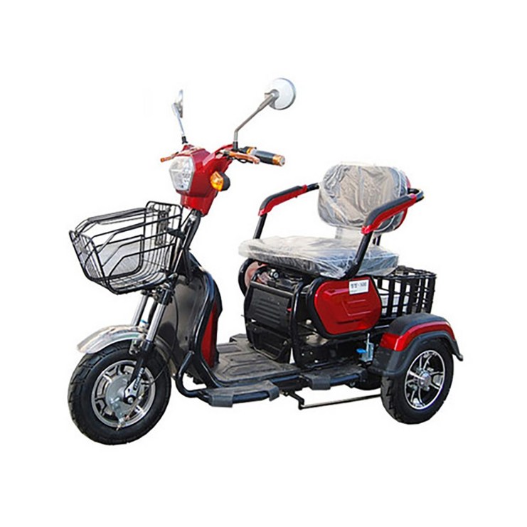 전동삼륜차 오토바이 삼발이 충전식 전기모터 무소음 110kg
