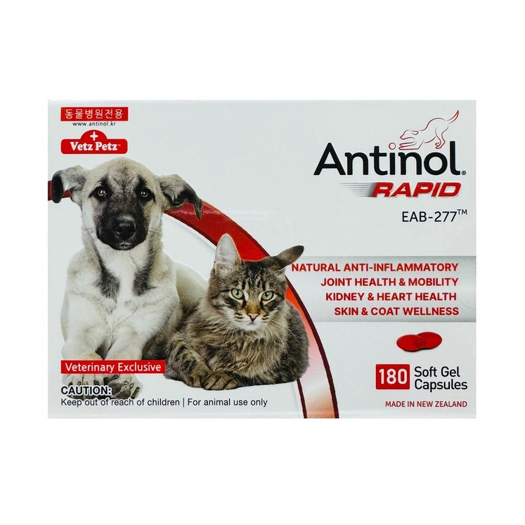 베츠페츠 안티놀 래피드 강아지 고양이 관절 슬개골 보조영양제 180정