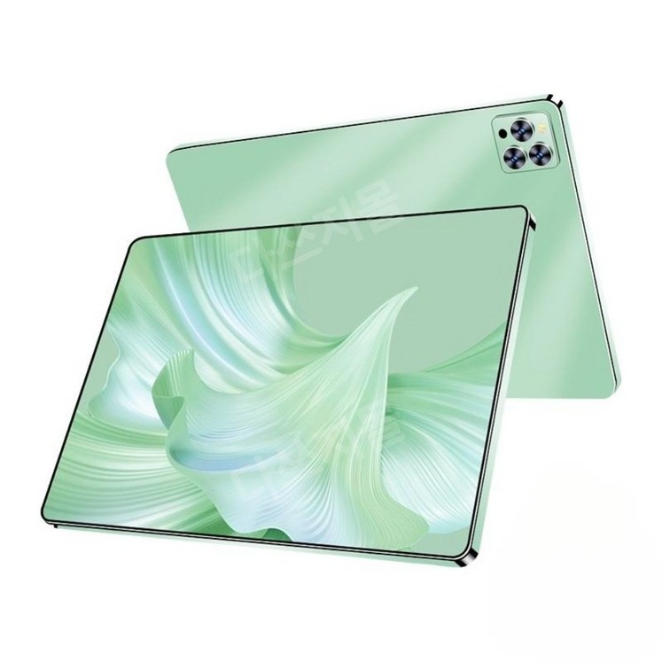 대륙의 실수 PadPro 태블릿PC 14인치 OLED 120Hz 1TB, 1TB, 포레스트 그린