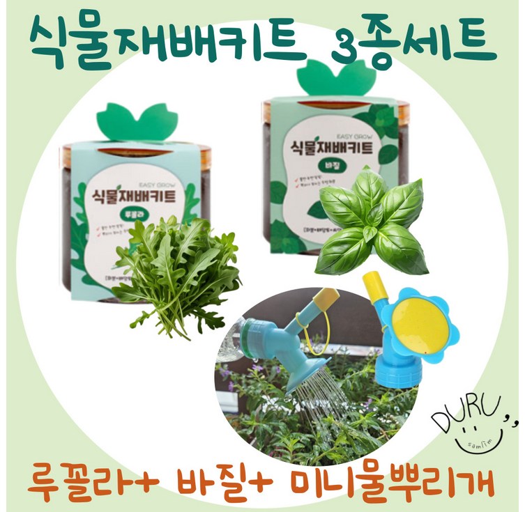 식물 키우기 세트 루꼴라 키우기 키트  바질 키우기 키트  미니 페트병 물조리개 두루살림, 1개