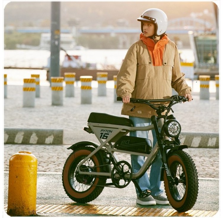 알톤 파이톤 16 500W 15Ah 전기 자전거  자토바이 모페드