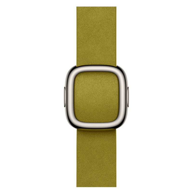 Apple 정품 2024 애플워치 모던 버클, 38/40/41/42mm, Medium, 샤르트뢰즈 1