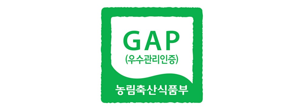 감미인 GAP 인증 청도 반건시 20과 (냉동), 1kg, 2박스 - thumb image