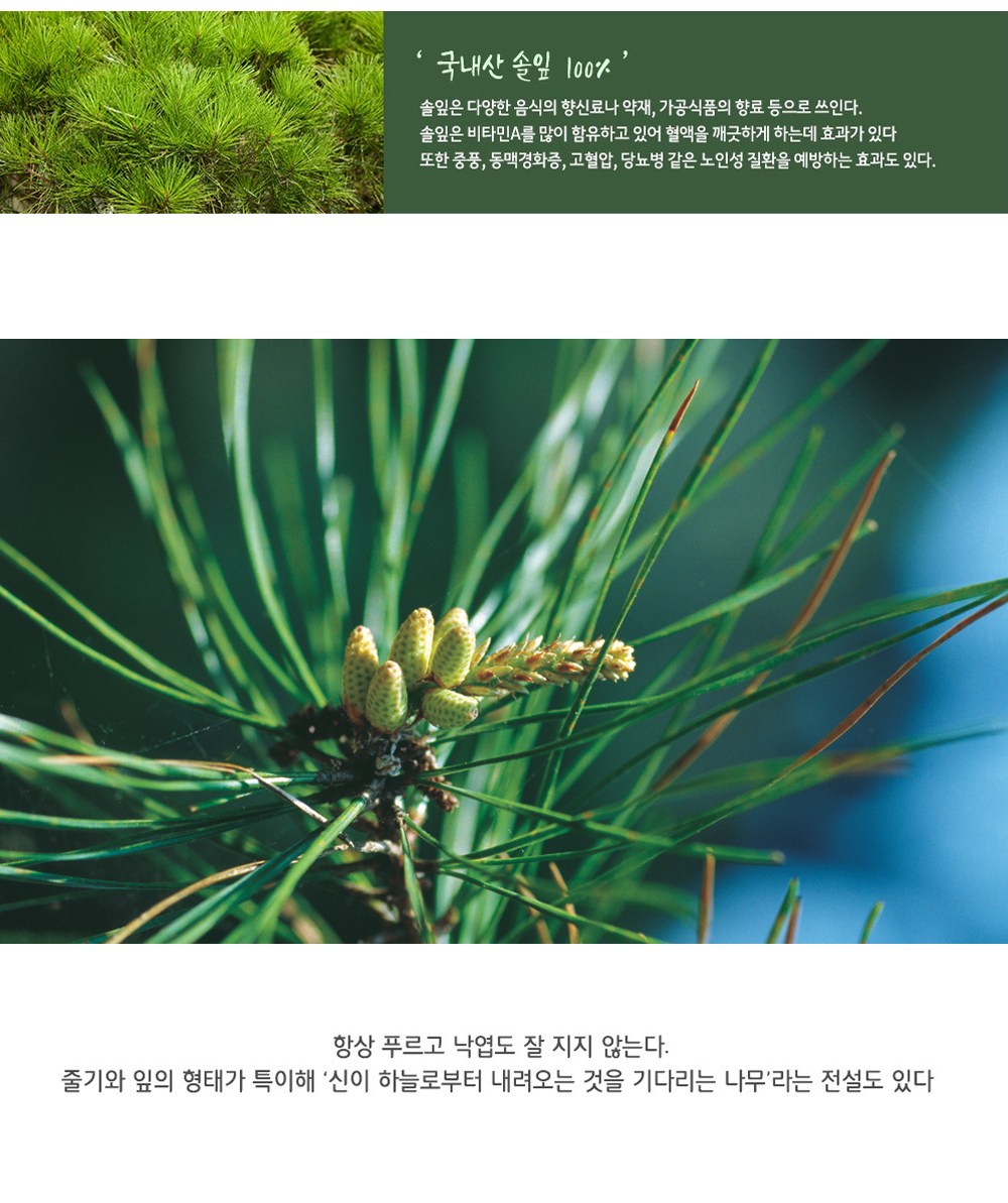 NAEMOME HERBS 松葉茶茶包酷澎- 天天低價，你的日常所需都在酷澎
