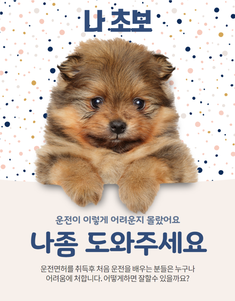 미남의운전교실 초보운전가이드라인 차폭감가이드-[14,900원] « Crd Shop